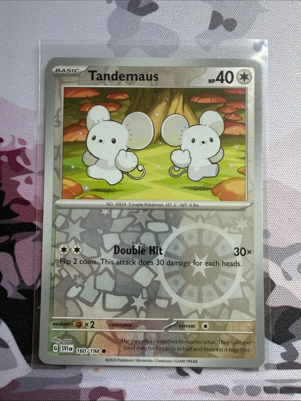 Tandemaus & Maushold Pokémon Evolution Lot 🐭 Reverse Holo | 5 Cards ✨5/$25✨
